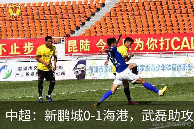 中超：新鹏城0-1海港，武磊助攻蒯纪闻攻入中超首球
